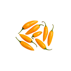 Piment jaune congelé 500 g