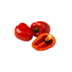 Rocoto congelado 500g
