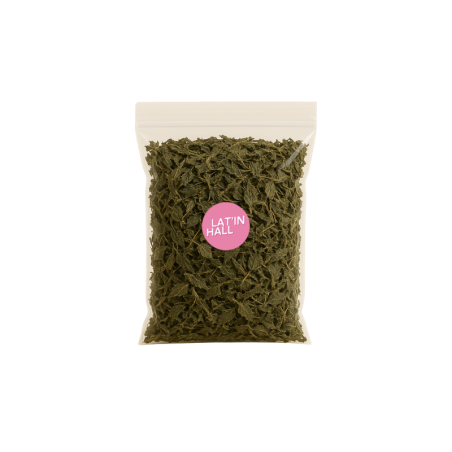 Infusion Ortie noire